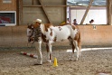 22-APHA HTB_001